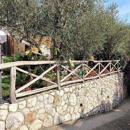 מסה לוברנסה Cynara Holiday House מראה חיצוני תמונה